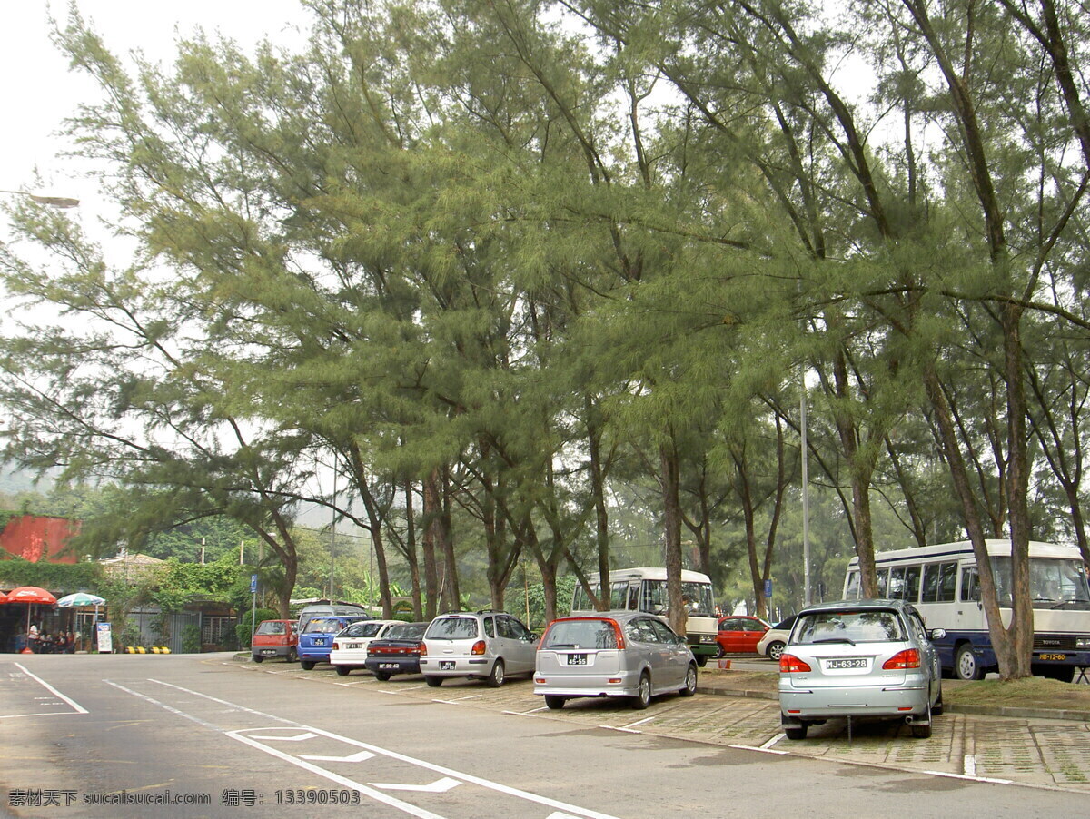 露天 停车场 树 树林 树木 树木剪影 树枝 小汽车 矢量 风景 生活 旅游餐饮