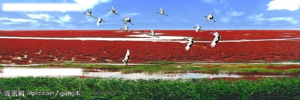 红海滩 盘锦 油城 红色海洋 自然景观 自然风光 设计图库