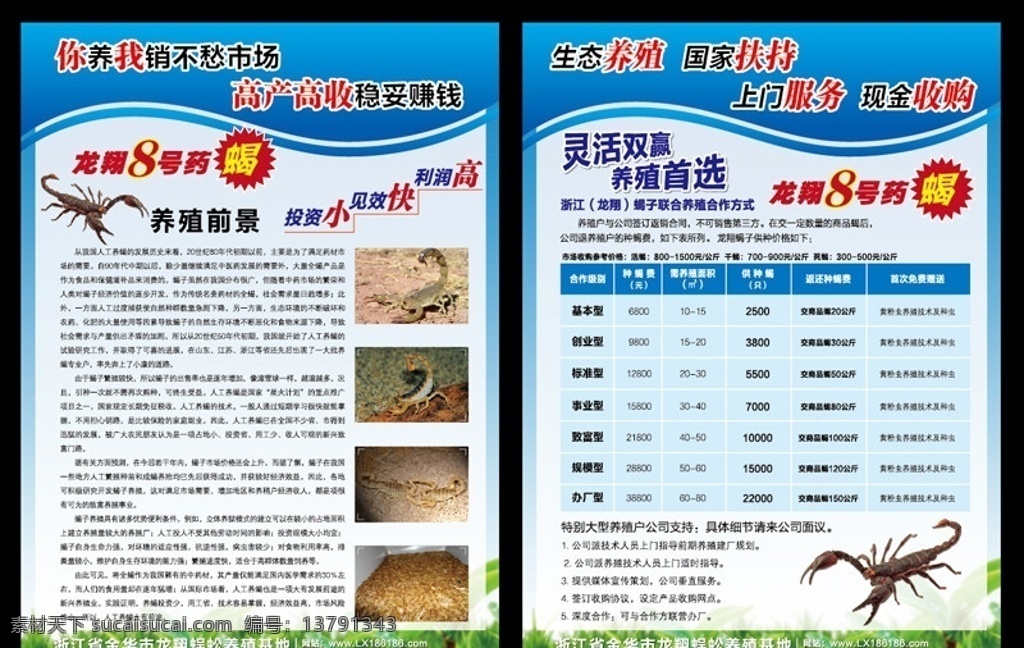 养殖单页 养殖 蝎子 农产品 生态养殖 蜈蚣 投资 矢量
