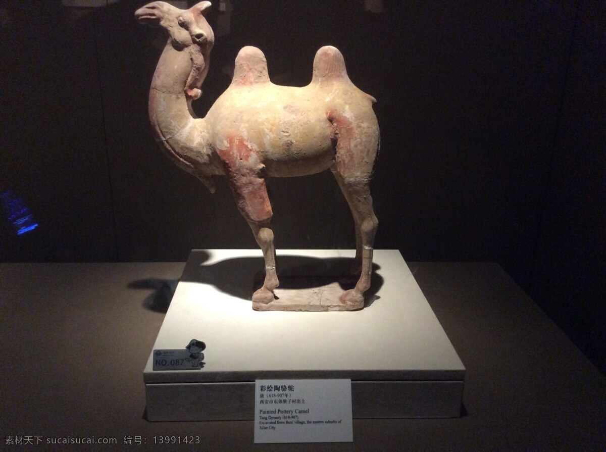 旅游 文物 文化 西安 陕西博物馆 骆驼 文化艺术 传统文化 黑色