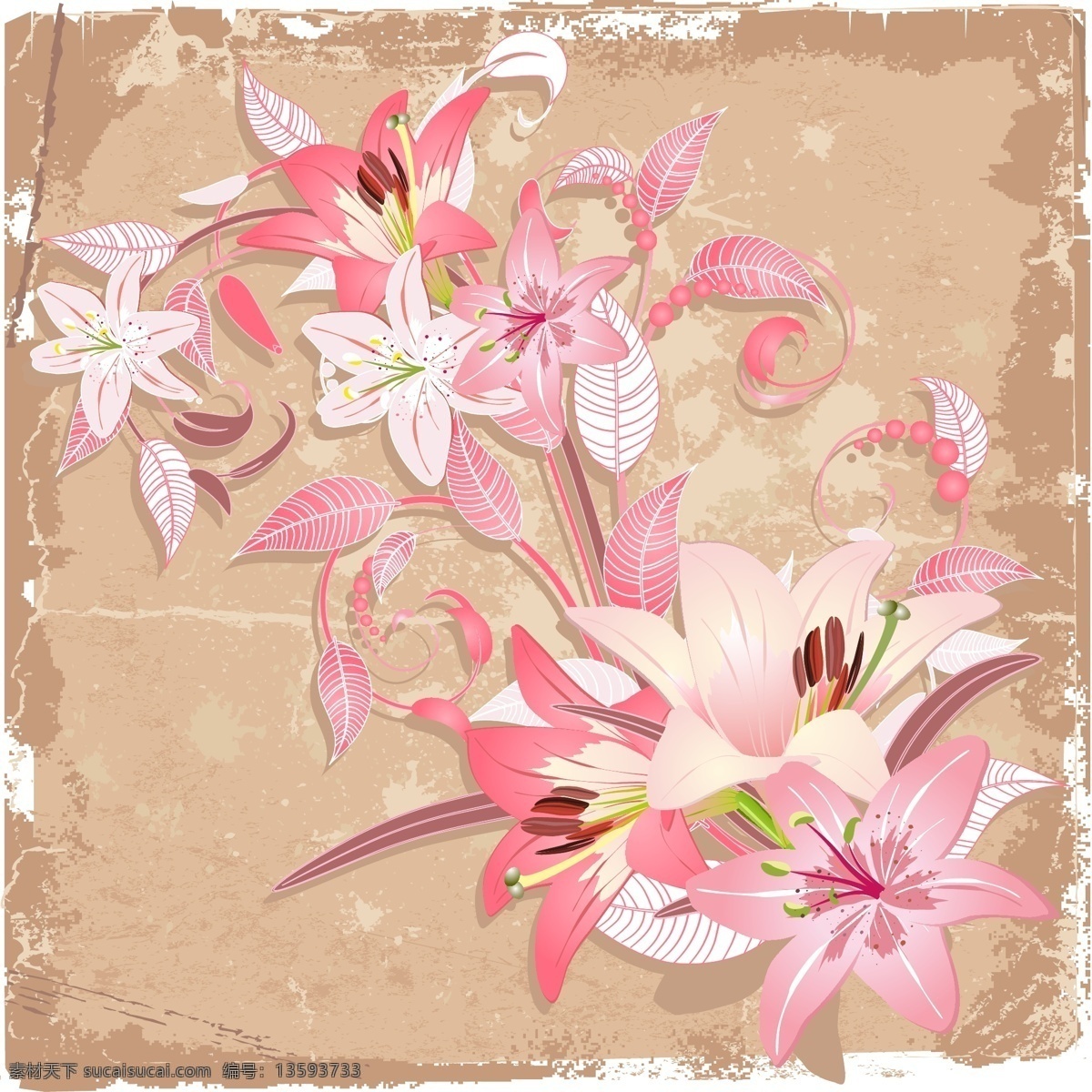 粉色百合背景 底纹 粉色 百合 背景 植物 花朵