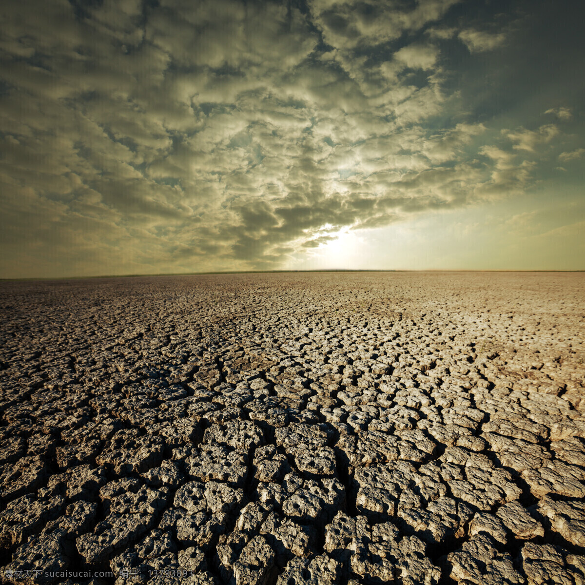 旱灾 土地 裂缝 干旱 干枯的土地 龟裂的土地 自然灾害 其他风光 风景图片