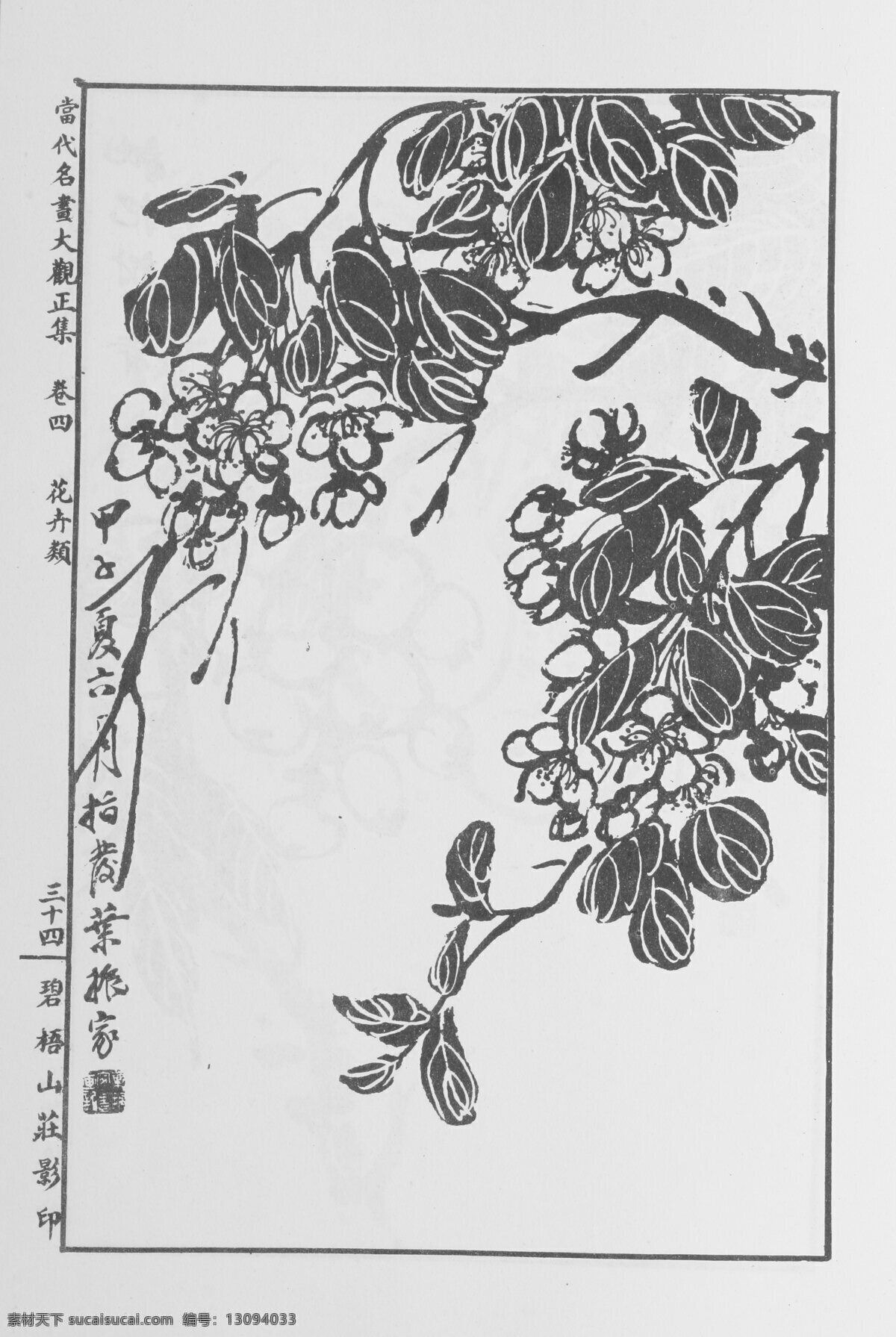 花卉画 中国画 当代 名画 大观 正 集 设计素材 花鸟画篇 中国画篇 书画美术 白色
