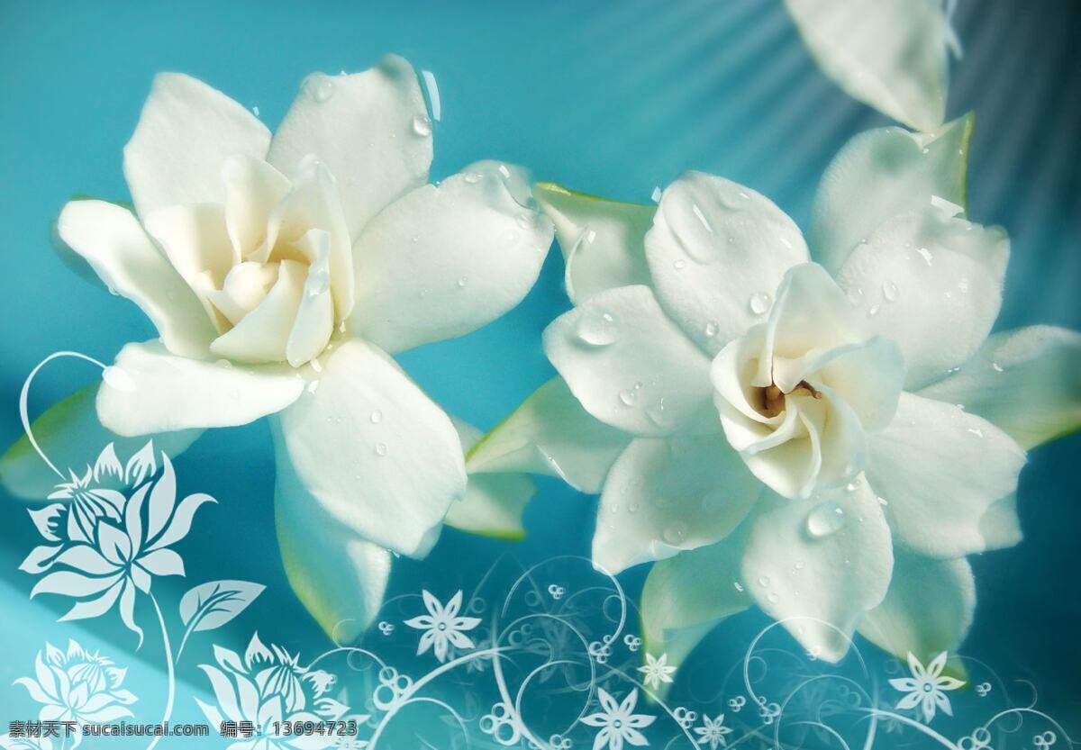 栀子花 白色的花 水中花 浓郁芬芳 栀子花开 绽放 花草 生物世界