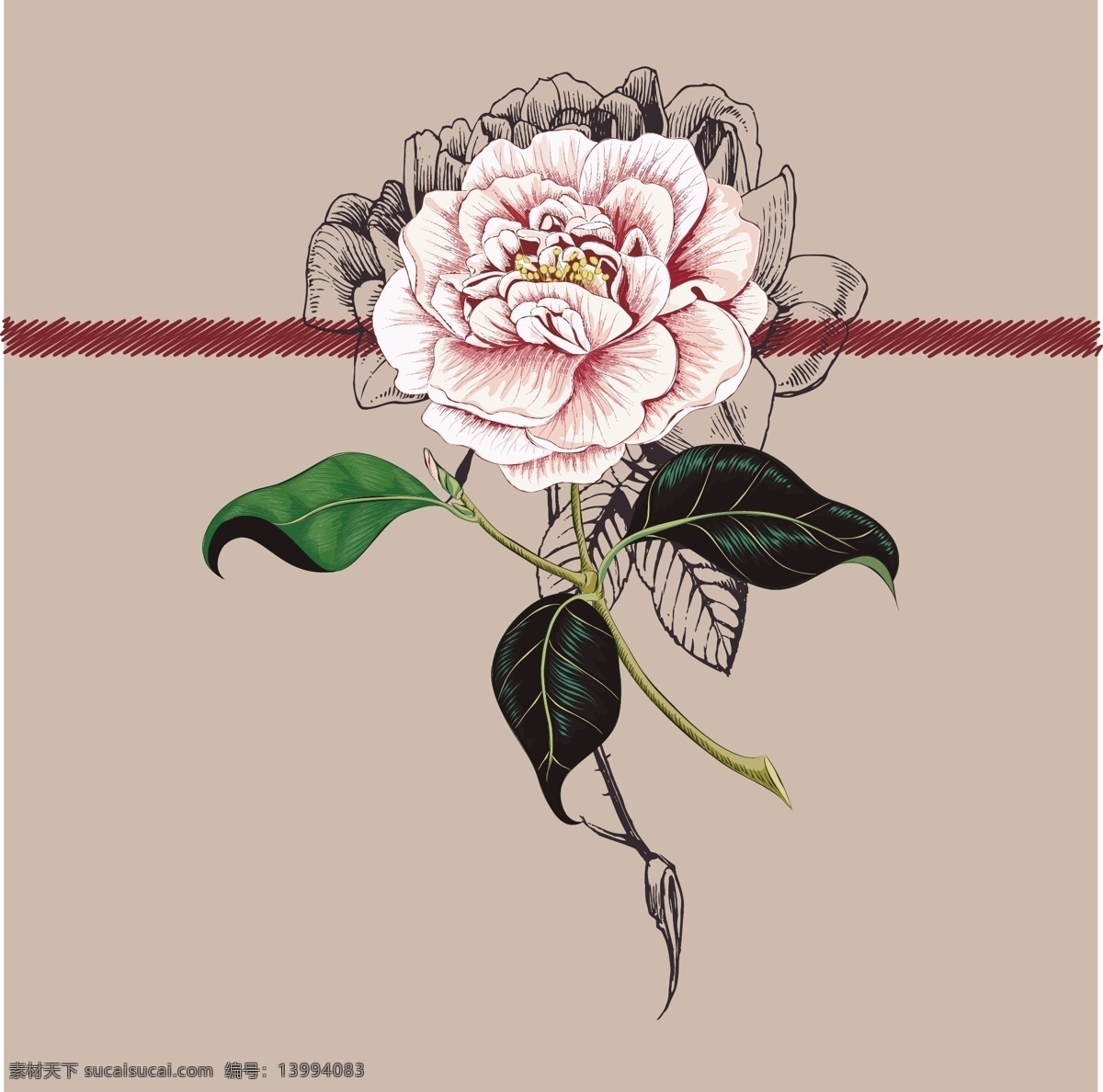 满身图案 实花卉 唯美 花枝 时尚 家纺印花 数码印花 女装 时尚花卉 艺术效果 家纺四件套 面料定位印花 设计元素 四方连续 墙纸 壁纸 产品图案设计 窗帘图案 无框画 北欧风素材 水彩画 自然元素 叶子 植物手绘 植物 植物花卉 花卉设计 面料设计 植物设计 花卉面料 面料花卉 花 草 生物世界 花草