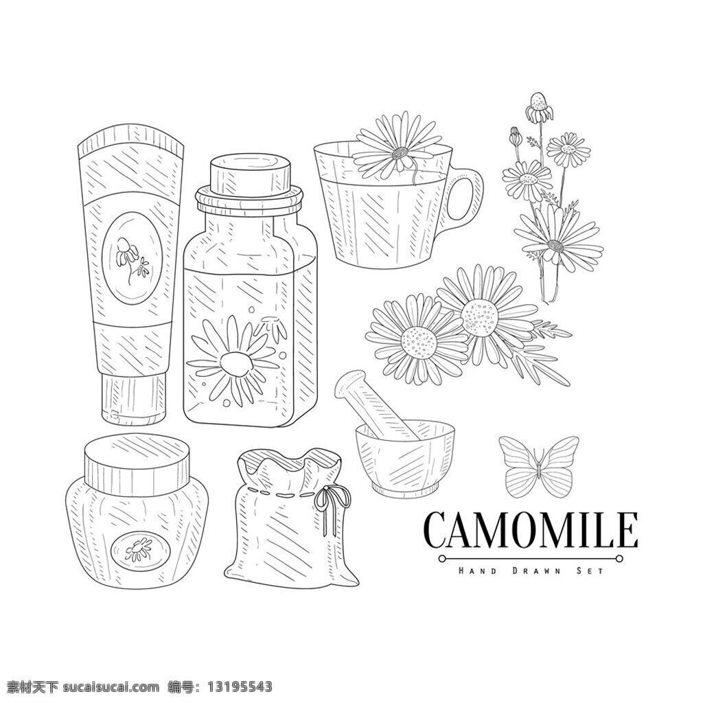 菊花设计 菊花 手绘图 花朵 花纹 矢量 菊花包装瓶 手绘插画