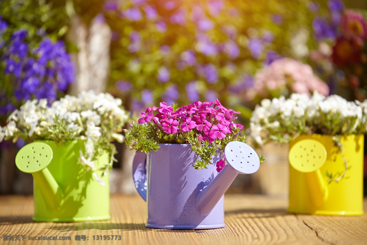 喷壶里的鲜花 鲜花 花朵 花卉植物 花盆 喷壶 园艺工具 其他类别 环境家居 黄色