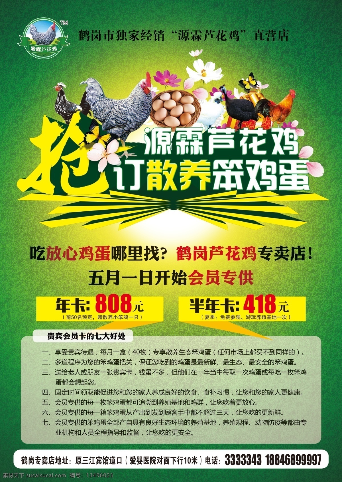散养鸡宣传单 蓝天 白云 草地 鸡素材 机场直销 分层