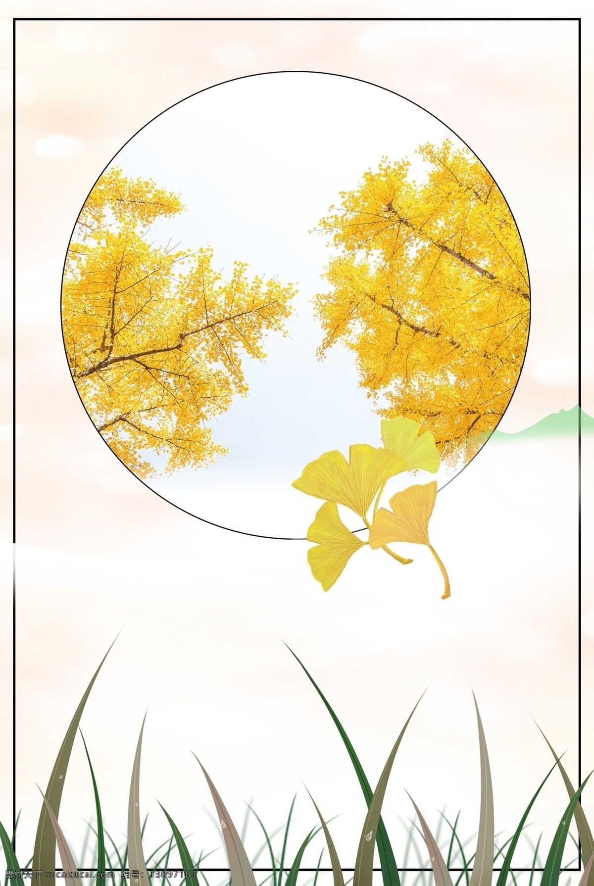 橙色 银杏 植物 装饰 背景 秋季 环境 换季 自然 节气