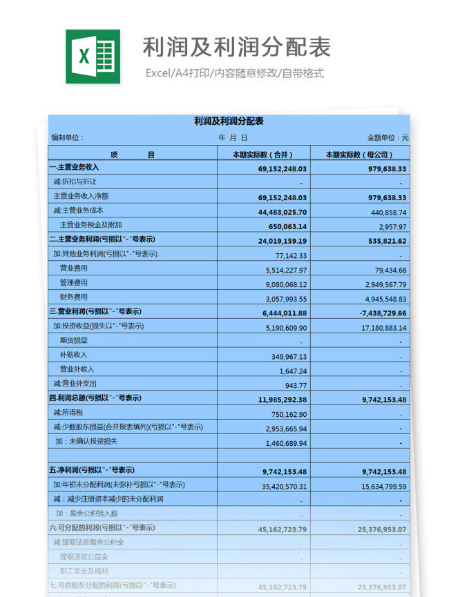 利润 分配 表 表格 编制 股利