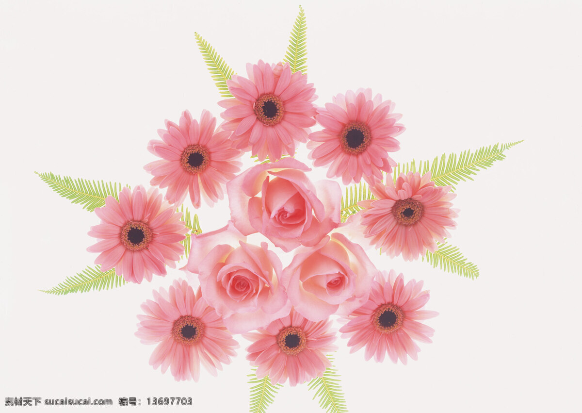 时尚花瓣 花团锦簇 花瓣 花纹背景 清新 清新自然 时尚 时尚背景 背景图片