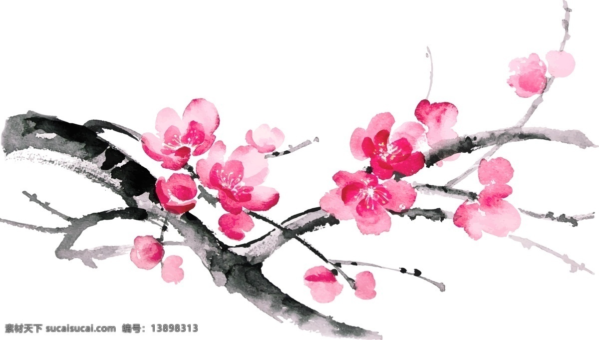 水墨 樱花 矢量 插画 水墨画 中国风 植物 花朵 格式 高清图片