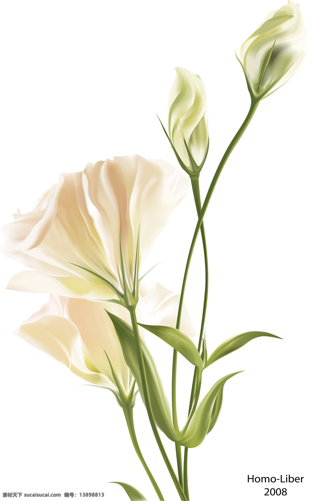 粉色背景 韩国花纹 荷花 花 花纹 绘画 绿色 梦幻 漂亮移门 移门 时尚移门 精美移门 树叶 圆圈 移门图案 移门大全 装饰素材