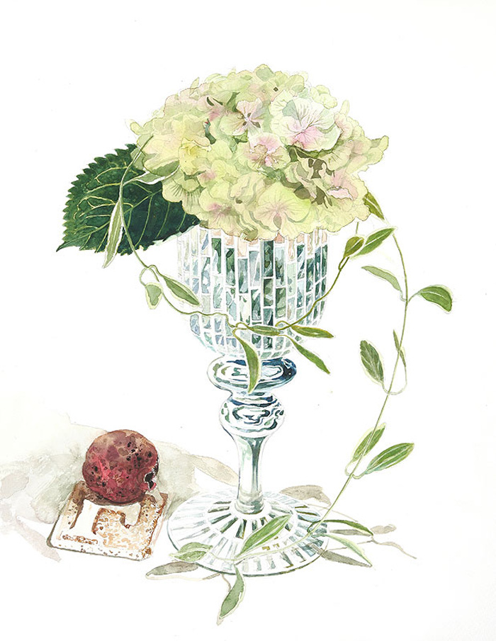 位图免费下载 服装图案 位图 植物插画 植物插画师 柘植彩子 艺术效果 面料图库 服装设计 图案花型