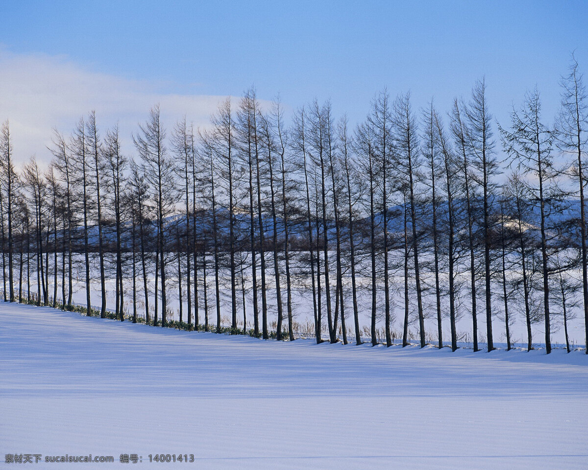 冬天 雪景 背景 冬天雪景 风光 风景 季节 摄影图库 自然 自然风景 自然景观 生活 旅游餐饮