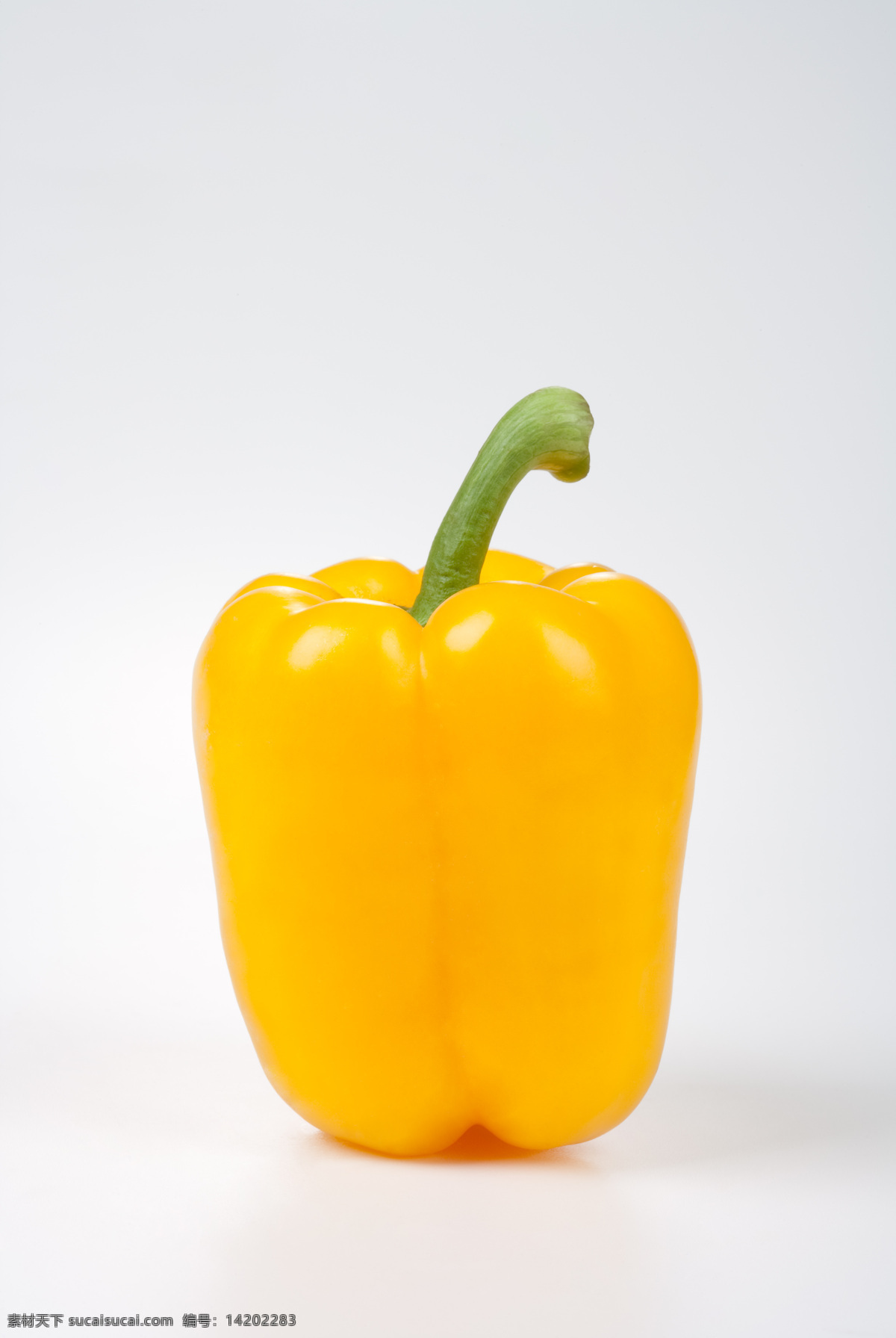 黄辣椒 食物写真 餐饮美食 食物原料 新鲜食物 新鲜 食物 食品 青椒 蔬菜 生物世界