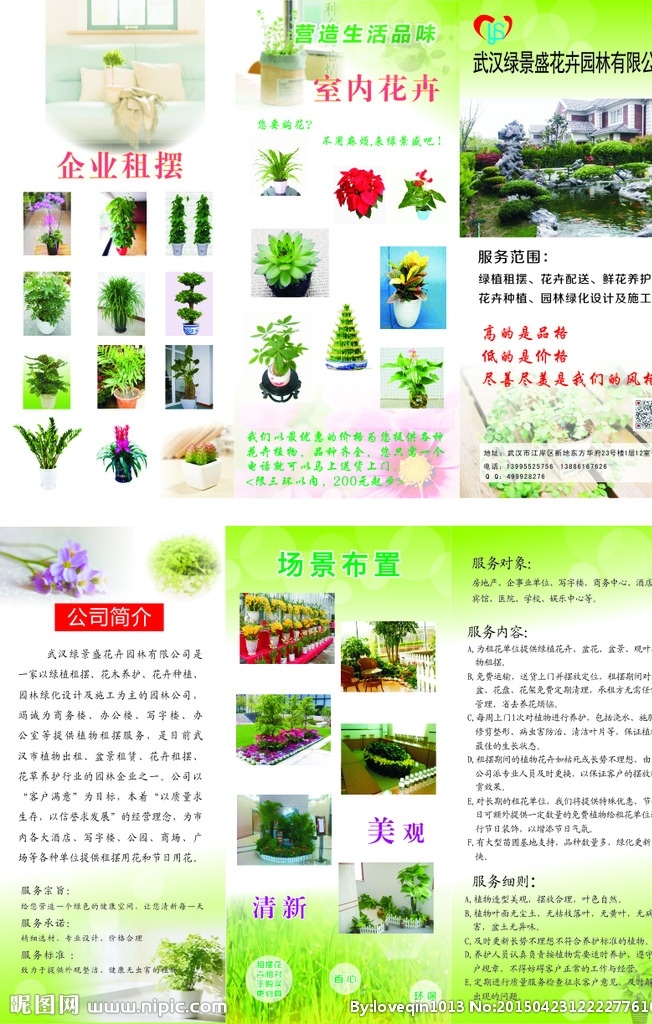 花卉植物 花卉 盆栽 传单 园林 办公花草装饰 自然景观 建筑园林