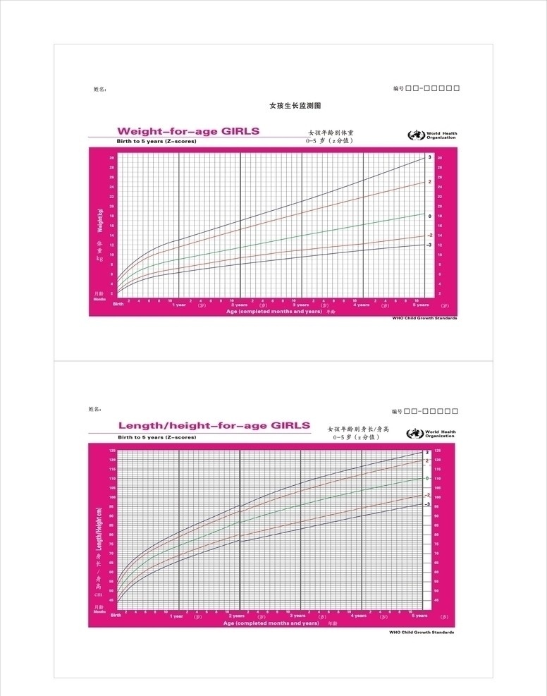 女孩 年龄 身长 身高 儿童 生长 监测 图 矢量 其他设计