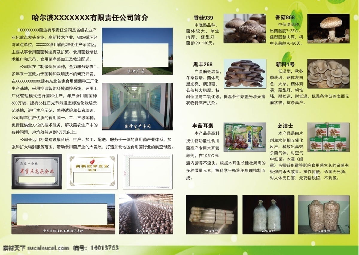 海报免费下载 产品画册内页 海报模板 画册内页背景 海报 宣传海报 宣传单 彩页 dm
