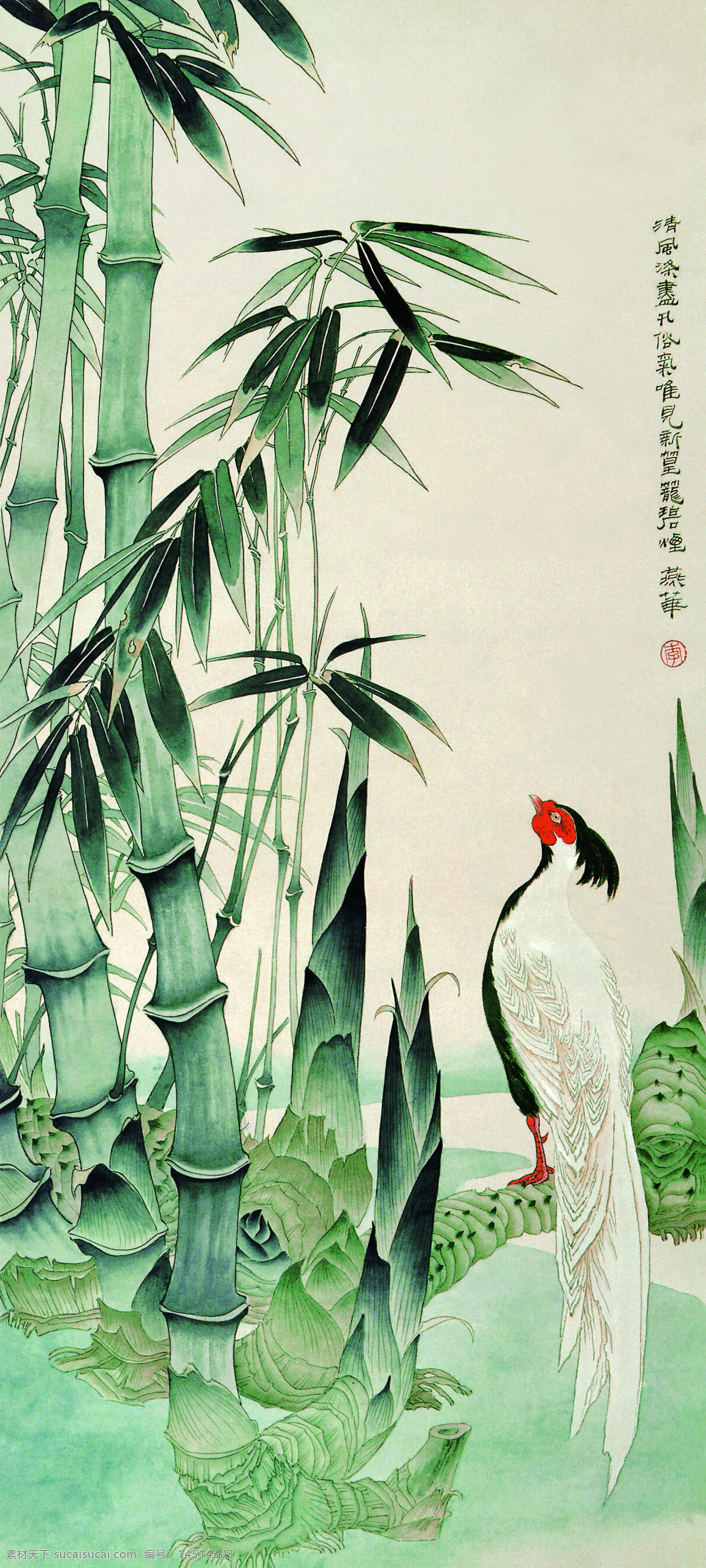 青竹白鹇 工笔花鸟 花鸟画 国画 工笔画 工笔竹子 翠竹 工笔国画 文化艺术 绘画书法