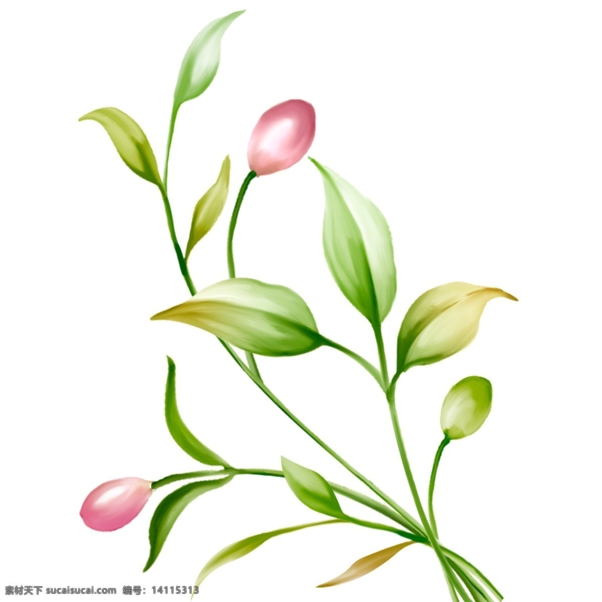 小清 新手 绘 植物 叶子 春天 元素 手绘植物 叶子元素 小花 万物复苏 春天元素