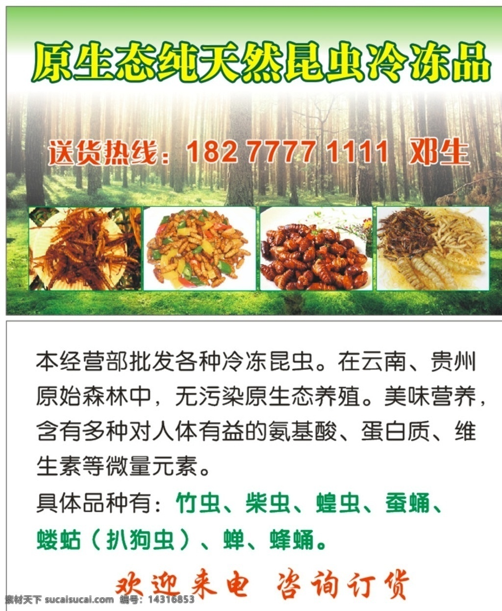 昆虫名片 竹虫 食用昆虫 柴虫 蚕蛹 蝉 蜂蛹 名片卡片