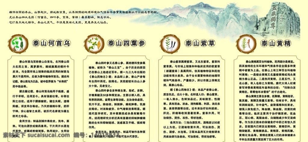 泰山四大名药 泰山 何首乌 四叶参 紫草 黄精 药材 中医 五岳独尊 分层 源文件