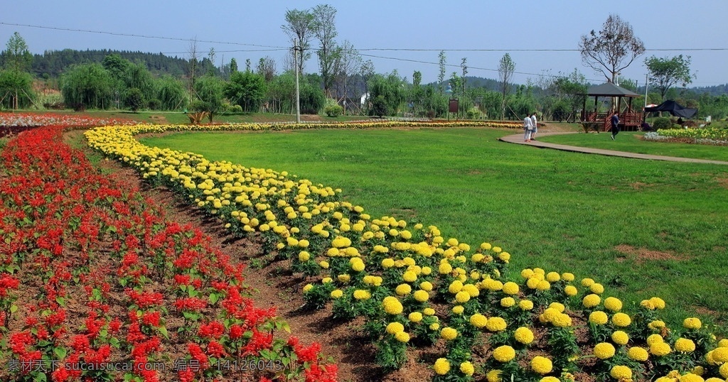 花园草地 四川绵阳 香草园 田园 鲜花 草地 阳光 花草 生物世界