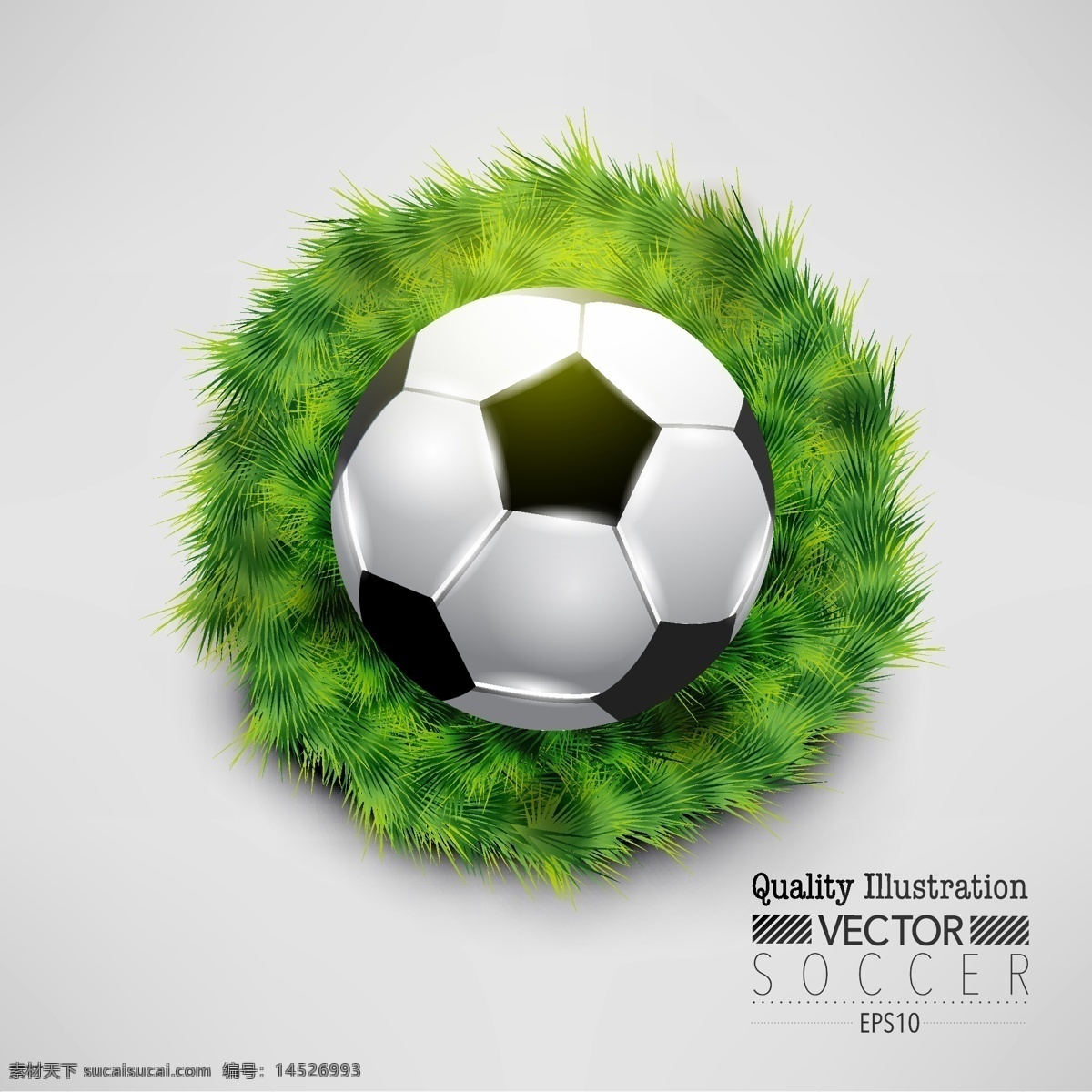 草丛 里 足球 矢量 模板下载 世界杯 足球主题 草地 体育运动 生活百科 矢量素材 灰色