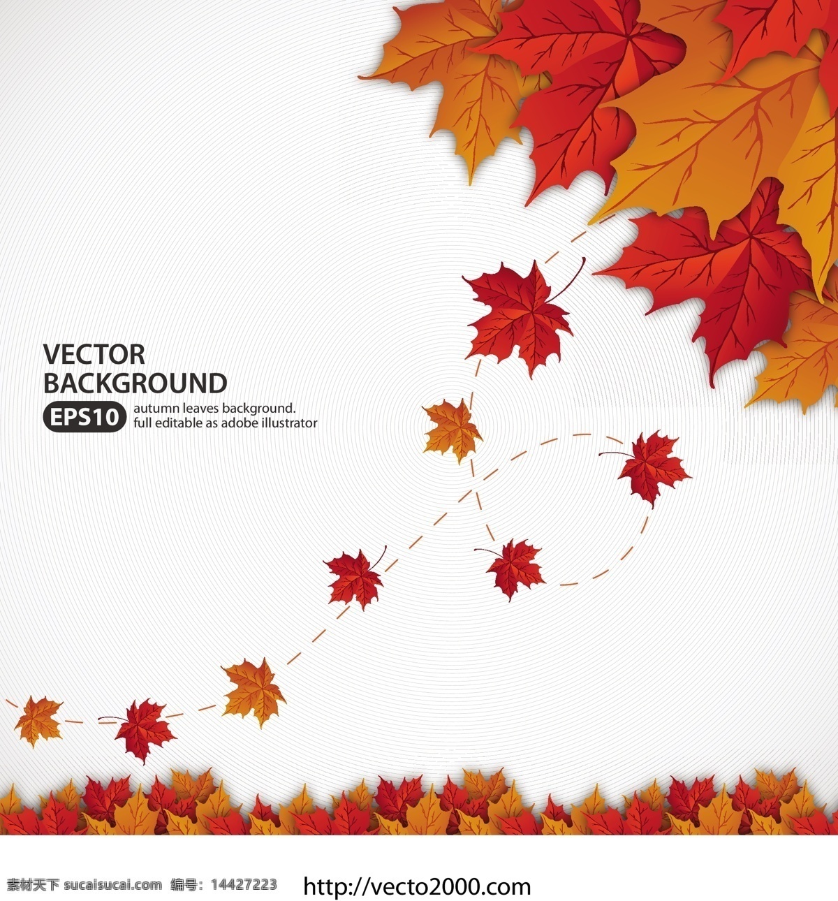 充满 活力 秋天 树叶 矢量 背景 web 插画 橙 创意 枫叶 高分辨率 免费 病 媒 生物 时尚 独特的 质量 新鲜的 设计设计新的 ui元素 hd 秋天的叶子 红色的 丰富多彩的 psd源文件