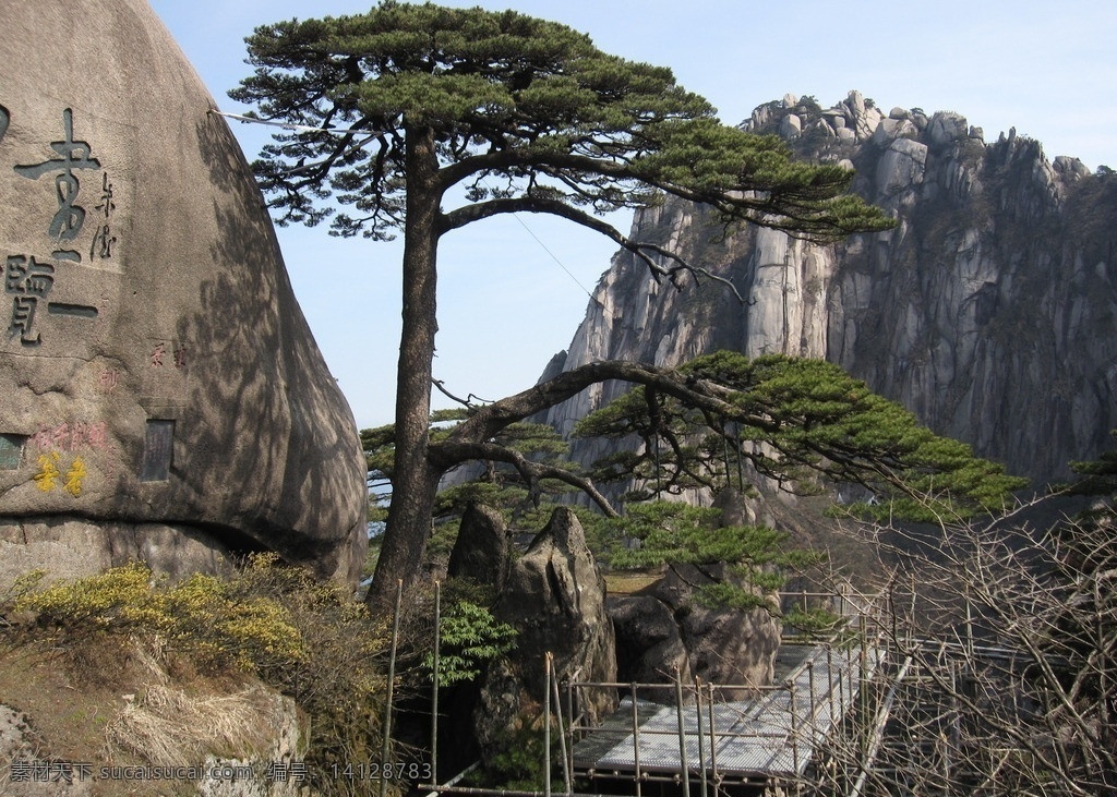 黄山风景 黄山 迎客松 松树 旅游 驴友 安徽旅游 jpg格式 国内旅游 旅游摄影