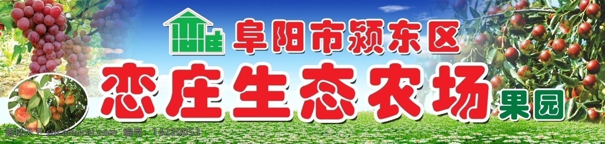 果园 生态农庄 水果门头 生态农场 红枣 桃子 葡萄 蓝天白云 草地 小花