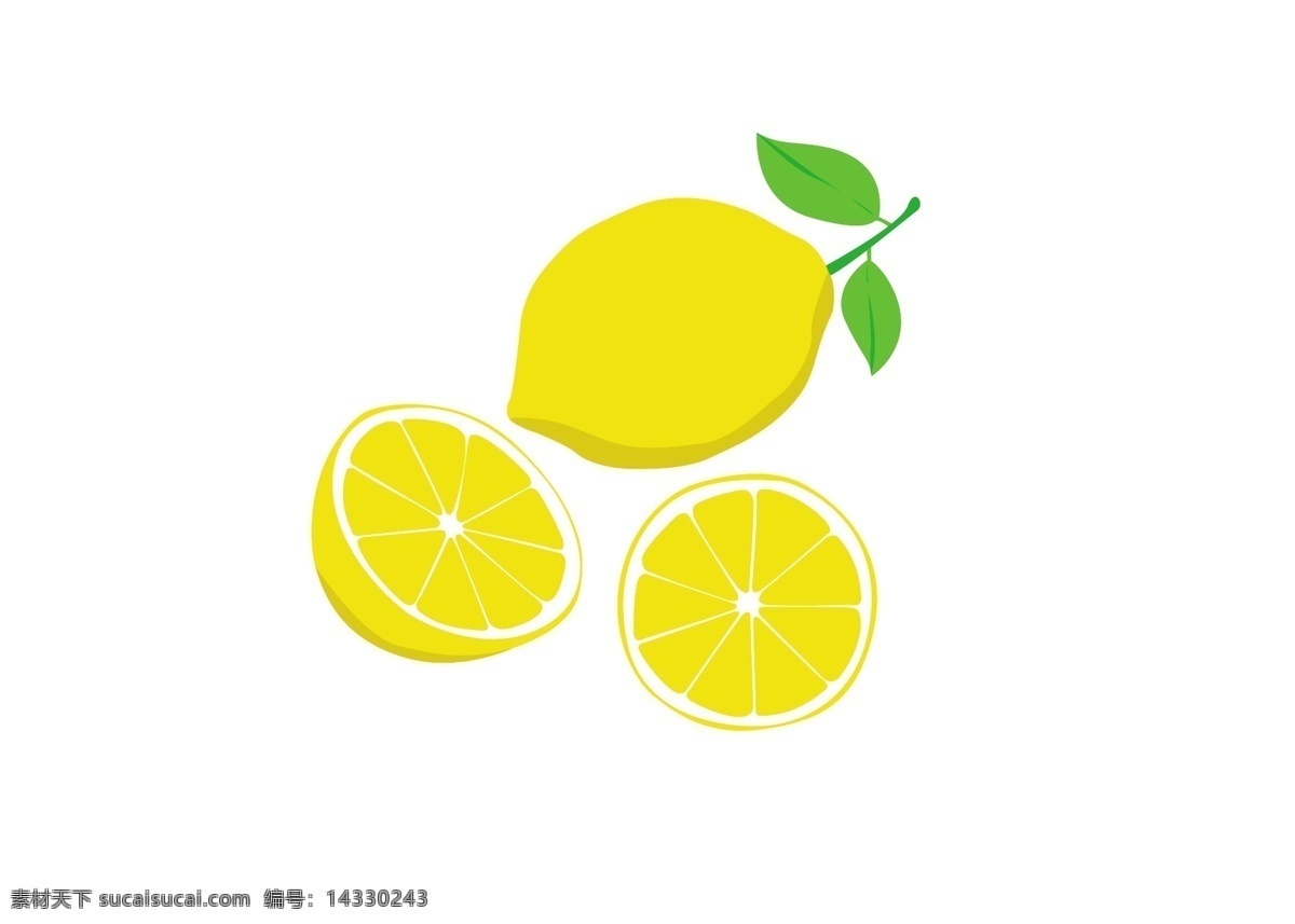 新鲜 水果 手绘 矢量图 柠檬