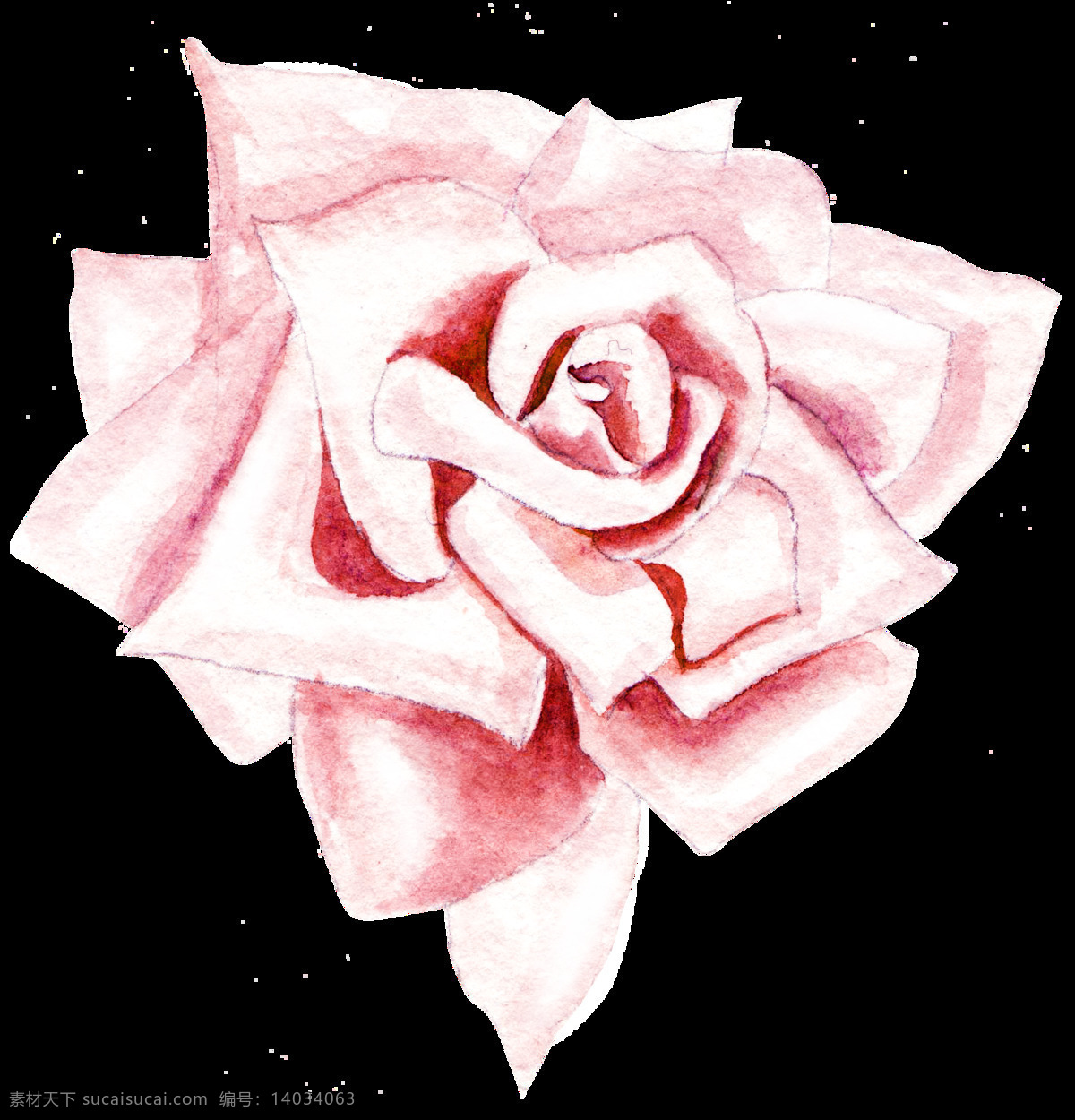 逼真 粉红色 花束 立体 免扣素材 透明素材 唯美 装饰图案 玫瑰花 花卉 透明