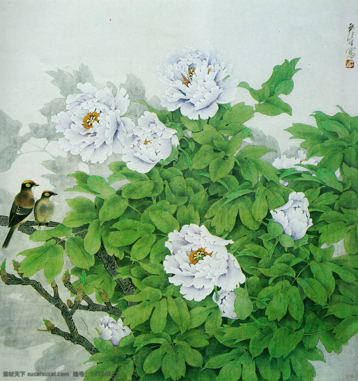 国画艺术 绘画 绘画书法 美术 牡丹花 牡丹画 鸟儿 天香 中国画 工笔重彩画 白牡丹 叶子 盛放 书法 印章 工笔 花鸟画 专 揖 文化艺术 装饰素材 雕刻 图案