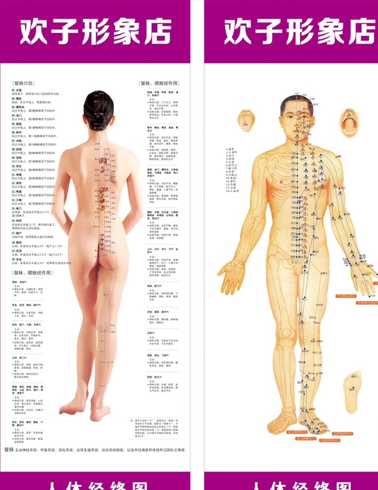 人体经络图 中医经络图 人体穴位图 人体解刨 人体结构 架构图 医院挂图