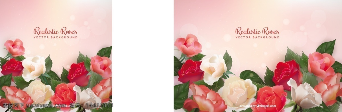 背景 虚化 效果 玫瑰 现实 花 自然 花的背景 春天 颜色 植物 丰富多彩 背景虚化 自然背景 装饰 百花齐放 春天的背景
