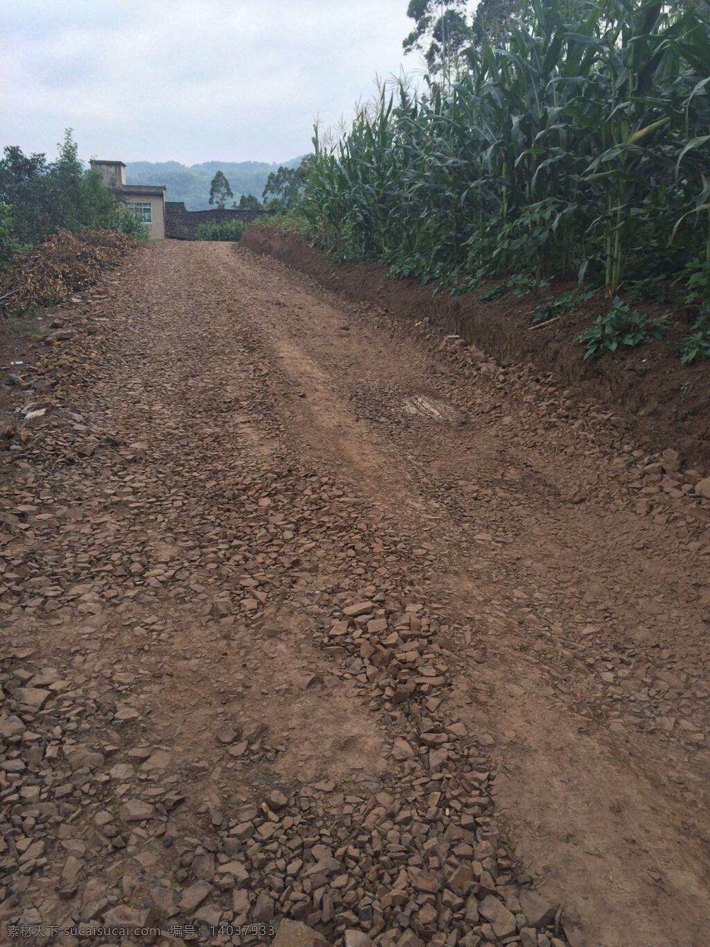 泥泞道路 土路 泥泞 道路 乡村道路 田园风光 摄影作品 自然景观 山水风景