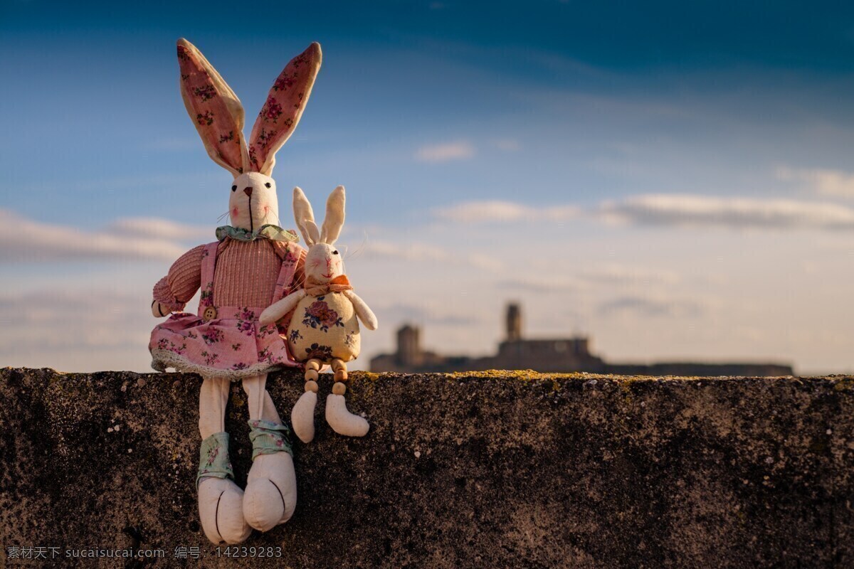 兔 妈妈 宝宝 玩偶 房子 温馨 小兔 喜爱 兔子 兔宝宝 兔妈妈 母子 亲子 萌 玩具 娃娃 生活百科 娱乐休闲