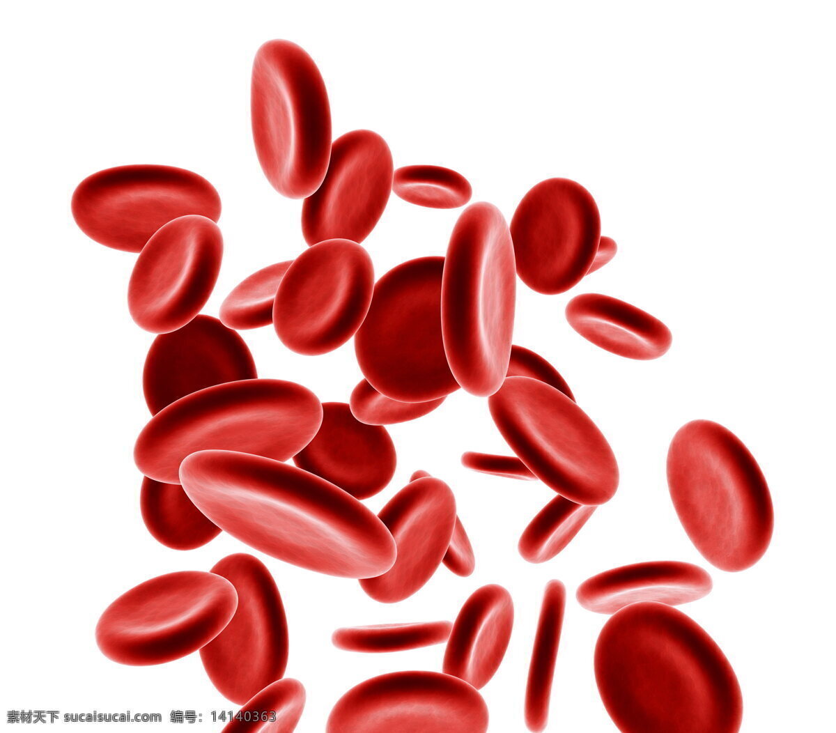 红色颗粒 红细胞 血小板 颗粒 分子 成分 红色 3d 立体 分子细胞 细胞 医疗 保健 医学 医学研究 治病 病理 健康 医学素材 医疗研究 现代科技 医疗护理