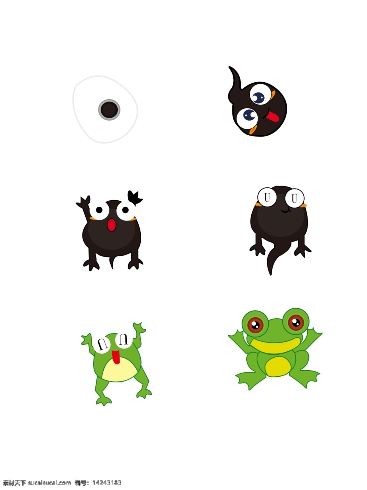 小 青蛙 生长 过程 动物 卡通 装饰 可爱 蝌蚪 小青蛙 长大