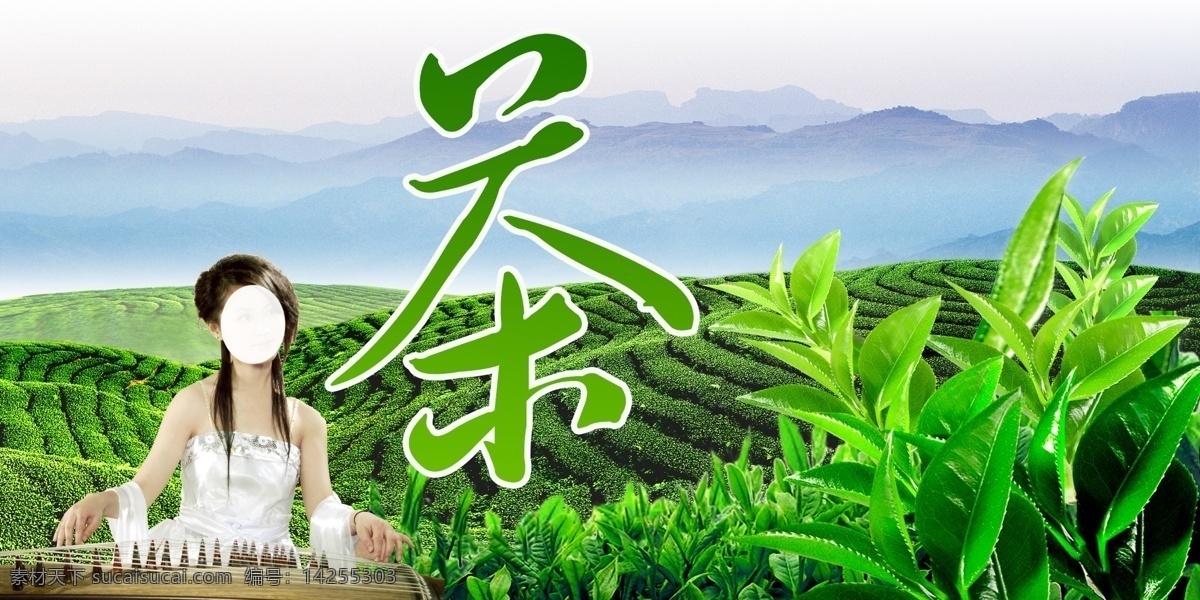 茶场广告 茶叶 茶 美女 古筝 茶场 美女古筝 分层 源文件