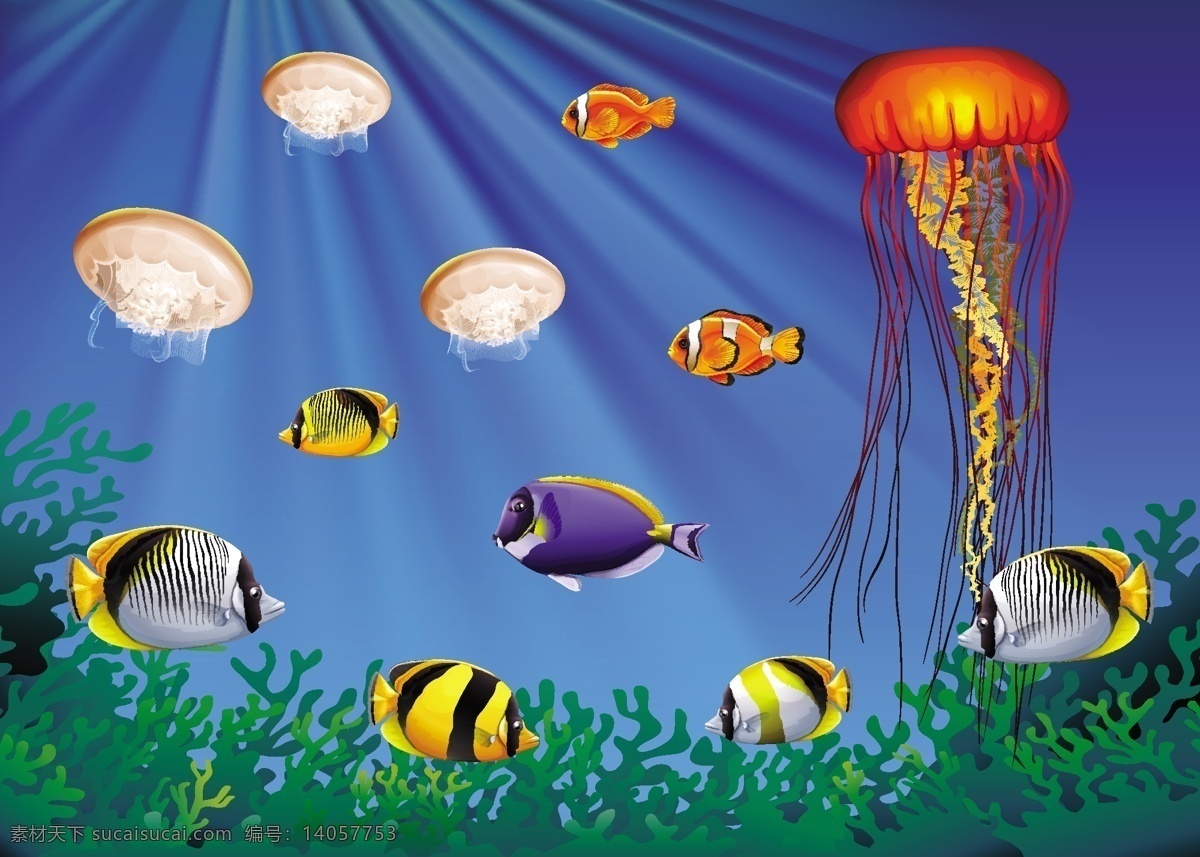 海中 游动 海洋 动物 插图 自然 鱼类 艺术 植物 绘画 游泳