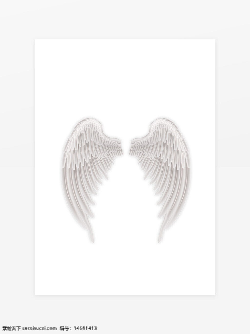 白色翅膀 天使之翼 羽翼 飞翔 立体翅膀