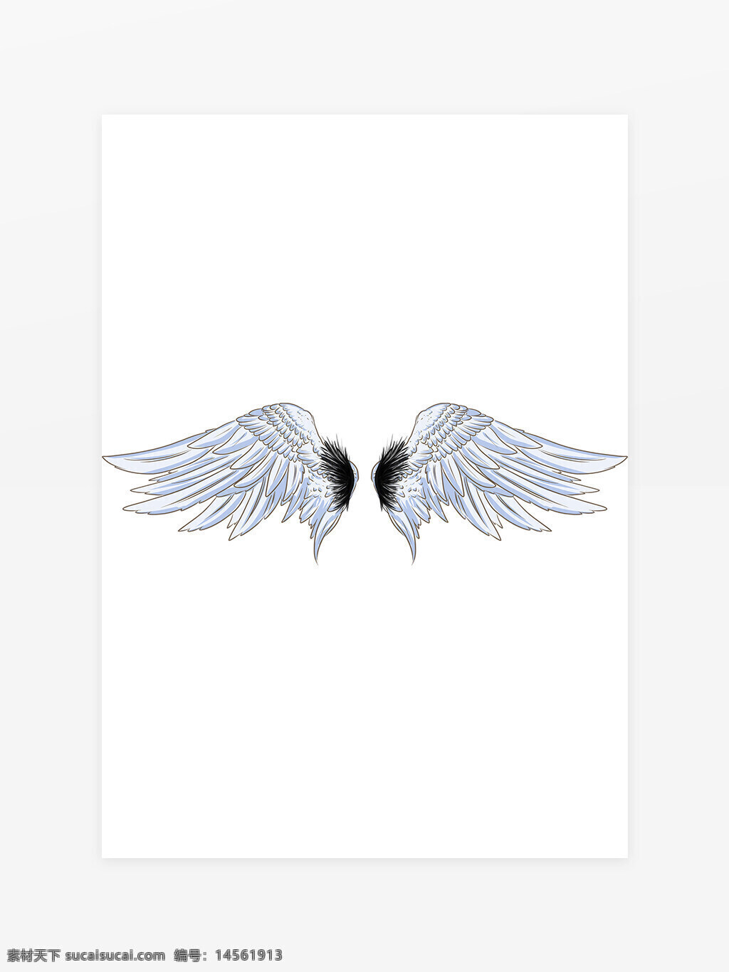 浅蓝色羽毛 翅膀图片 黑色翅膀 飞翔翅膀 天使之翼