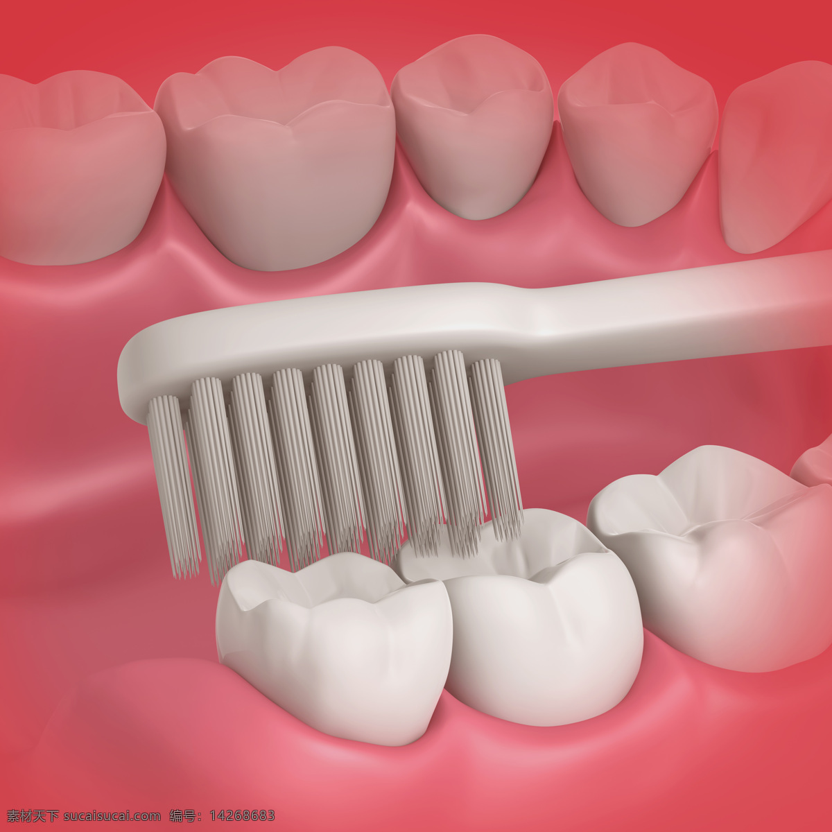 刷牙 假牙 白牙 牙齿 保护牙齿 洁白牙齿 健康牙齿 口腔护理 3d设计 3d作品