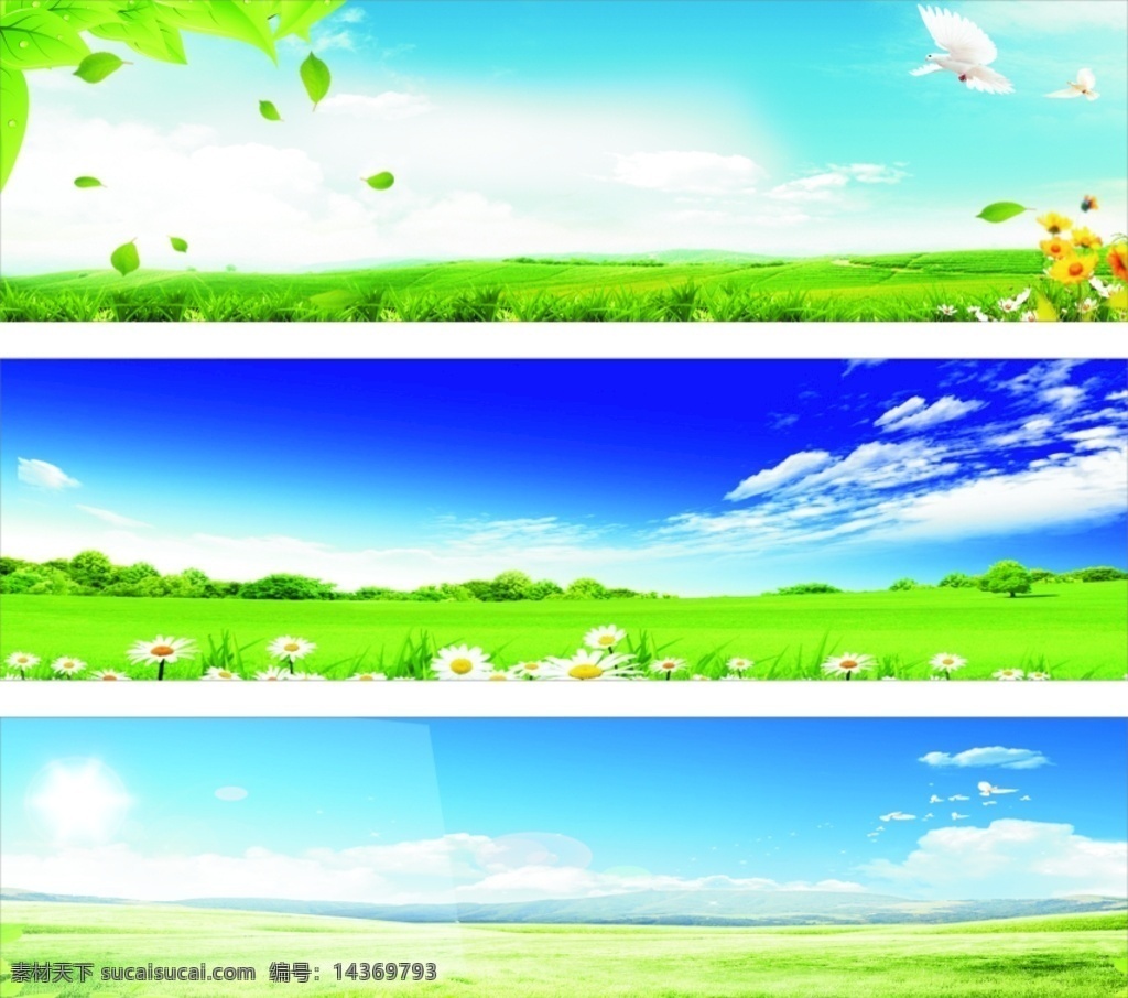 草原背景 背景 草原 草坪 草地 花朵 舞台背景 白鸽 蓝天 绿叶 鲜花 室外广告设计