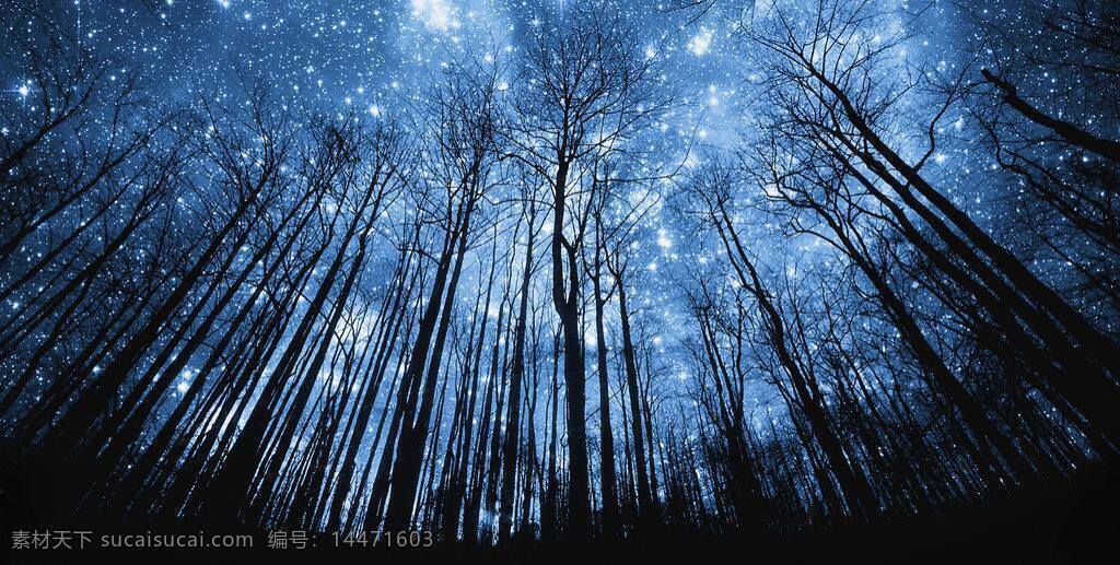 梦幻 夜晚 树林 风景 高清 星空 蓝色