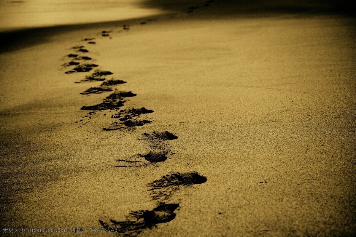 沙滩上的足迹 沙 脚步声 足迹 海滩 海岸 走 海洋 假期 夏天 自然 旅游摄影