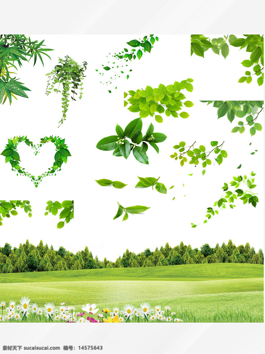 绿叶装饰 树叶 树叶装饰 绿叶 绿叶插画 绿叶图案 绿叶海报 绿叶花边 绿叶图标